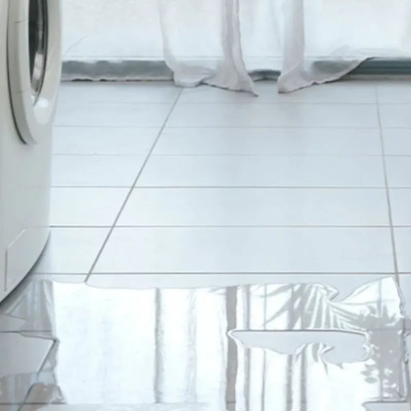 Appliance Leak Cleanup in Dollar Bay, MI