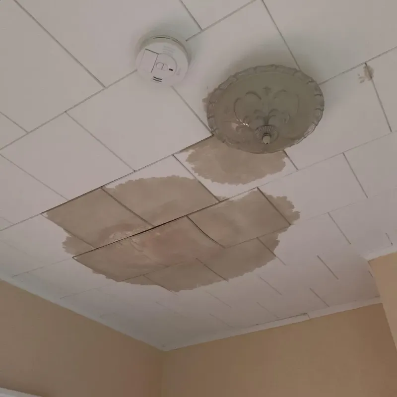 Ceiling Water Damage Repair in Dollar Bay, MI