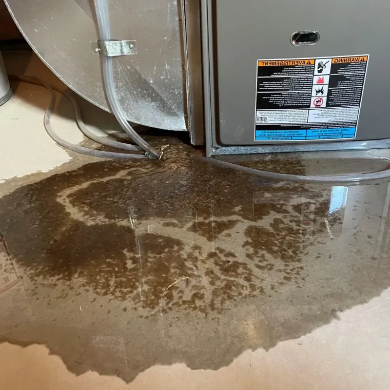 Pipe Burst and Leak Restoration in Dollar Bay, MI